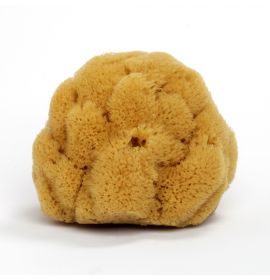 地中海天然海绵 (大) (適合面部深層清潔去油去角質) (原價 Original Price:$328)