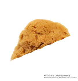 地中海天然海绵 (細) (適合面部深層清潔去油去角質)